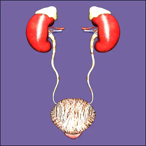 Play Silodal - Atlas of Urology APK
