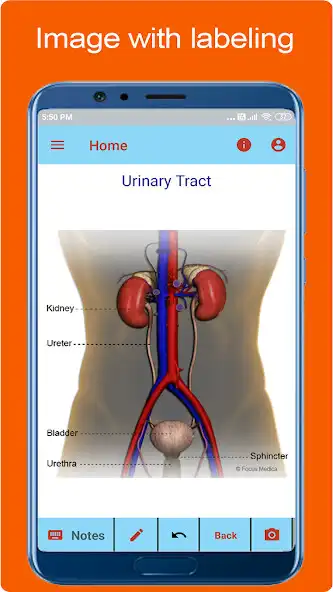 Play Silodal - Atlas of Urology as an online game online Silodal - Atlas of Urology with UptoPlay Play Silodal - Atlas of Urology as an online game Silodal - Atlas of Urology with UptoPlay