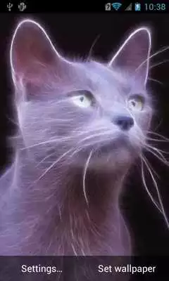 Play Silver cat Live Wallpaper