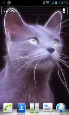 Play Silver cat Live Wallpaper