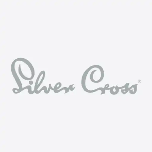Play Silver Cross Car Safety APK