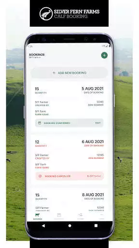Play Silver Fern Farms Calf Booking as an online game Silver Fern Farms Calf Booking with UptoPlay