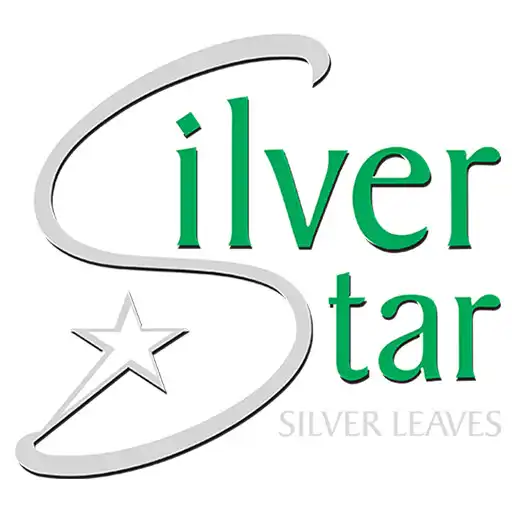 Play Silver Star Sales APK