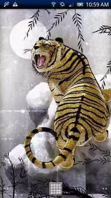 Play Silver Tiger Trial