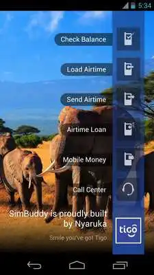 Play Sim Buddy