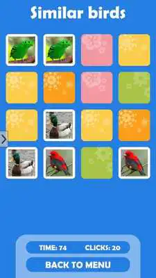 Play Similar birds