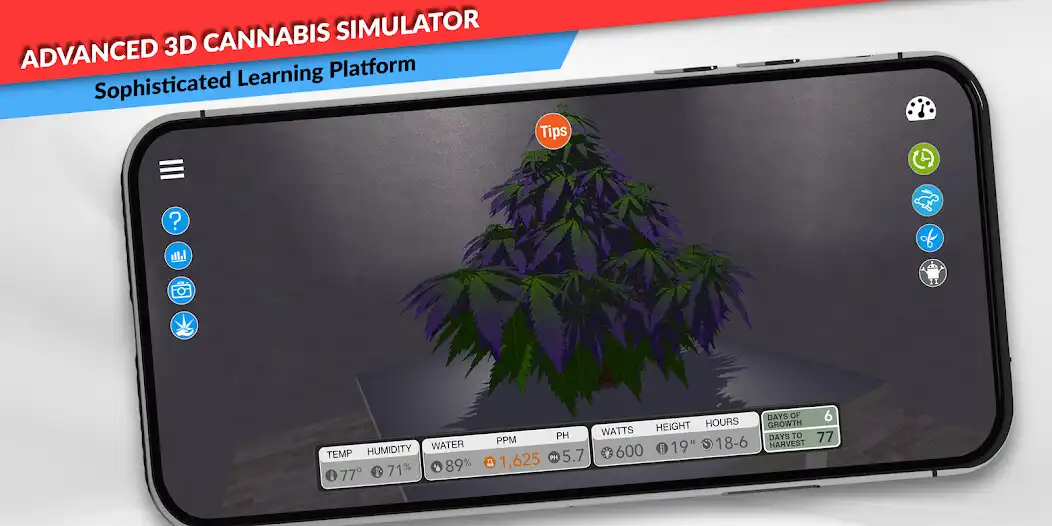 Play simLeaf  and enjoy simLeaf with UptoPlay