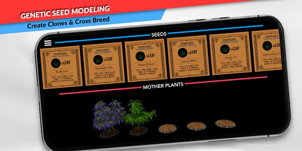 Play simLeaf as an online game simLeaf with UptoPlay