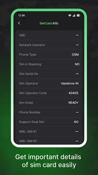 Play SIM Network Query Tools  Info as an online game SIM Network Query Tools  Info with UptoPlay