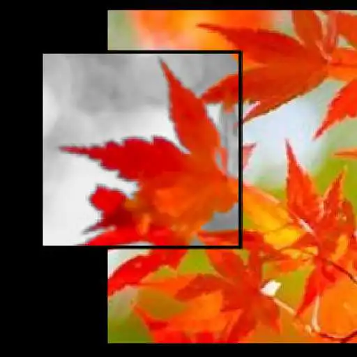 Play Simple Filter Camera APK