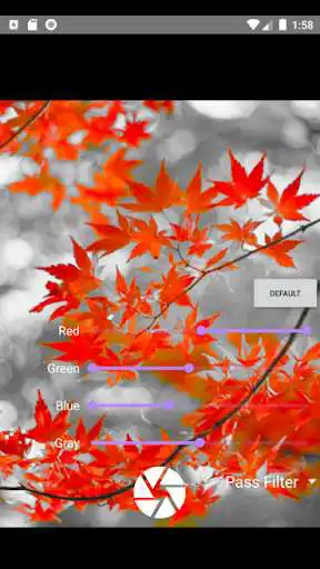 Play Simple Filter Camera as an online game online Simple Filter Camera with UptoPlay io.github.ucrio.simplecamerafilter Play Simple Filter Camera as an online game Simple Filter Camera with UptoPlay