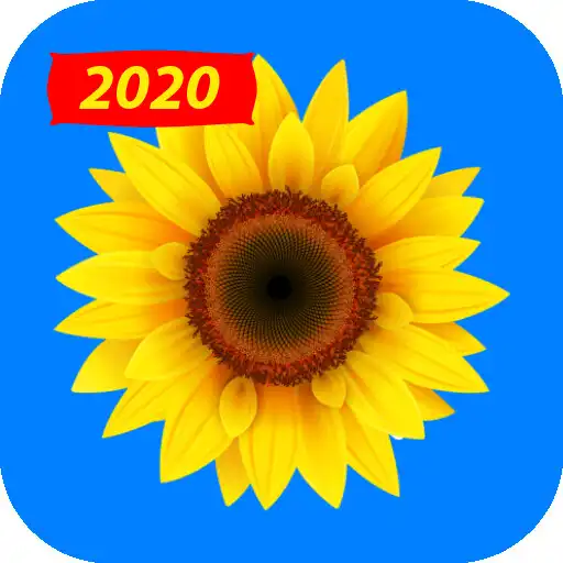 Play Simple Gallery - Hide Photos with private app lock APK Play Simple Gallery - Hide Photos with private app lock APK