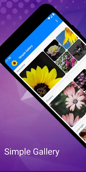 Play Simple Gallery - Hide Photos with private app lock  and enjoy Simple Gallery - Hide Photos with private app lock with UptoPlay