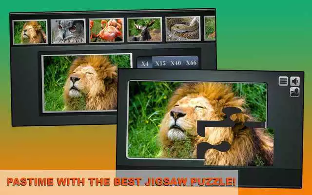 Play Simple Jigsaw Puzzle - Animals