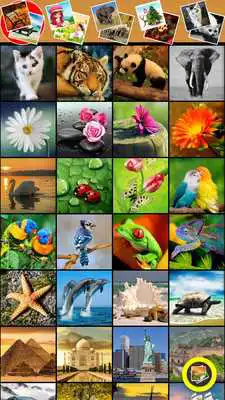 Play Simple Jigsaw Puzzle Play Simple Jigsaw Puzzle