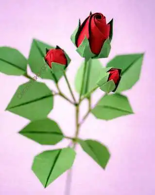 Play Simple Origami Rose Tutorials