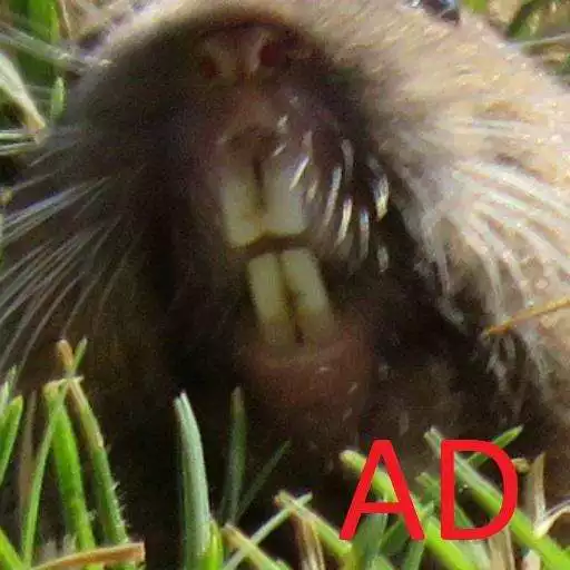 Free play online Simple TicTacToe FREE!  APK