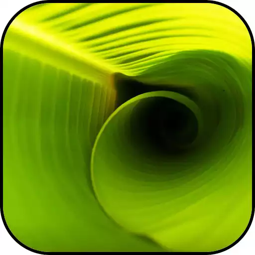 Play simple wallpapers APK Play simple wallpapers APK