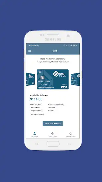 Play SIMS Metals  and enjoy SIMS Metals with UptoPlay