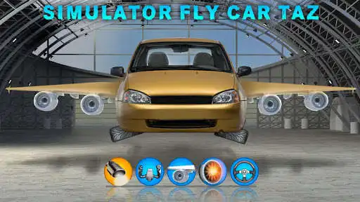 Play Simulator Fly Car Taz