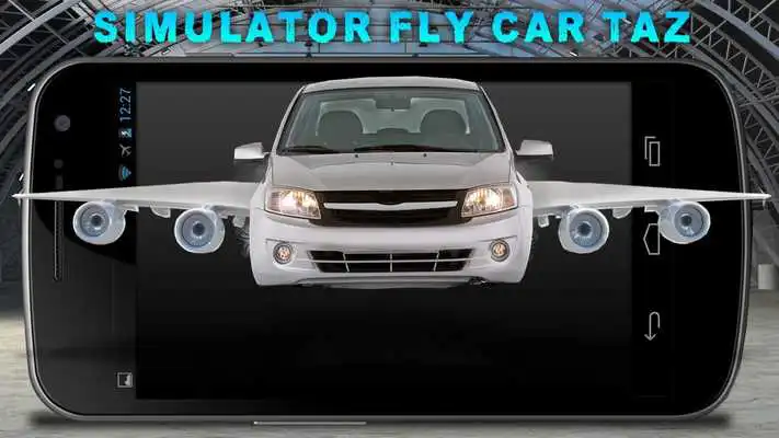 Play Simulator Fly Car Taz