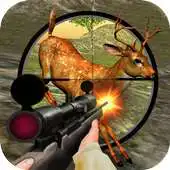 Free play online Simulator Fury Hunter Shoot APK