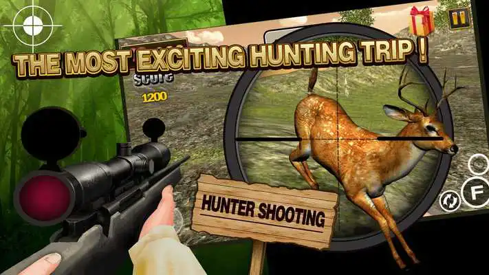 Play Simulator Fury Hunter Shoot Play Simulator Fury Hunter Shoot