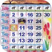 Free play online Singapore Calendar Horse 2020 APK