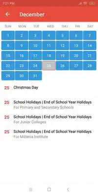 Play Singapore Public Holidays 2019