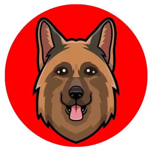 Play Sinu wallet APK Play Sinu wallet APK