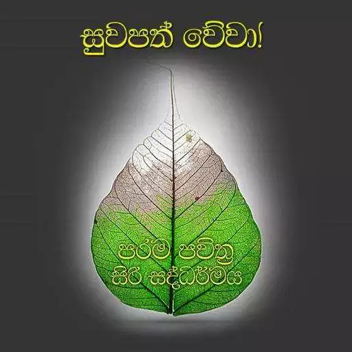 Play Siri Saddharmaya APK Play Siri Saddharmaya APK