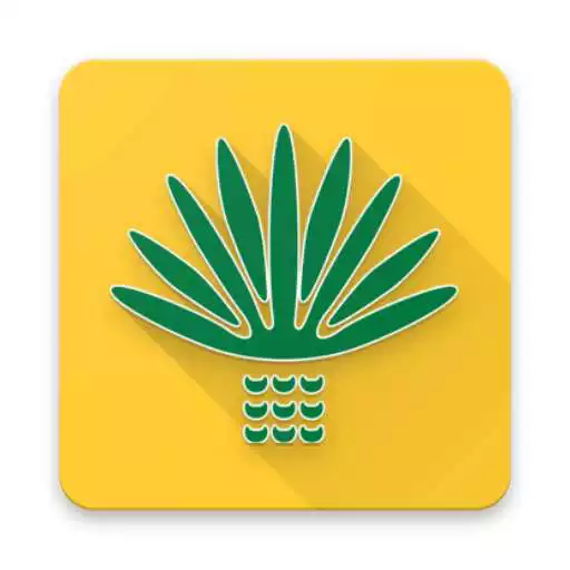 Play Sisal Alerta APK