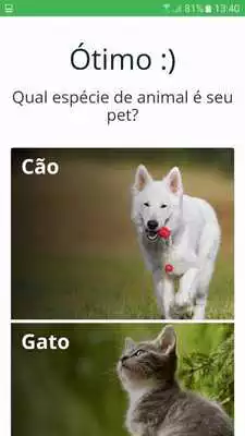 Play Sisbra Pet Play Sisbra Pet
