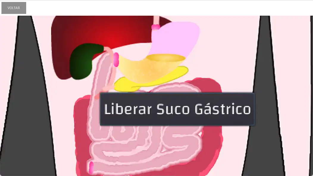 Play Sistema Digestório  and enjoy Sistema Digestório with UptoPlay
