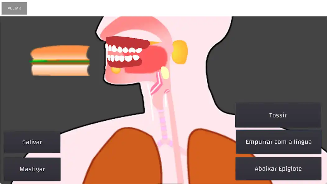 Play Sistema Digestório as an online game Sistema Digestório with UptoPlay