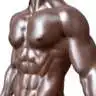 Free play online six Pack Workout APK Free play online six Pack Workout APK