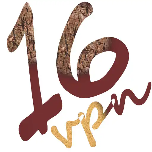 Play Sixteen VPN APK