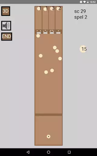 Play Sjoelen