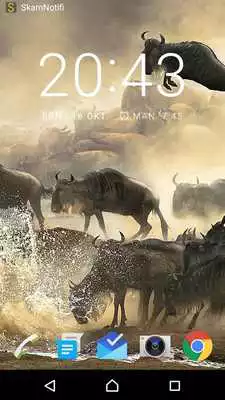 Play SkamNotifi Play SkamNotifi