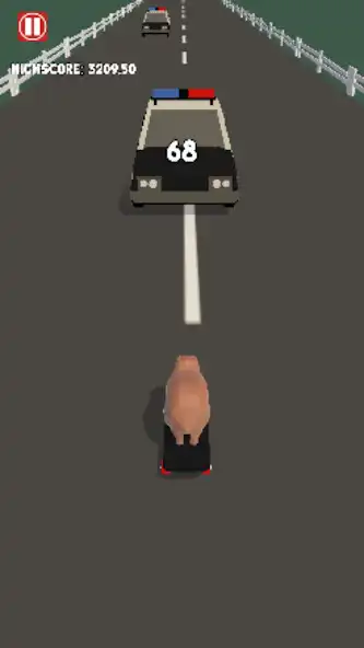 Play Skateboard Capybara  and enjoy Skateboard Capybara with UptoPlay