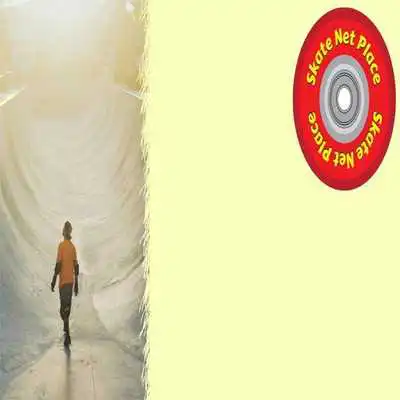 Play Skate Net Place!