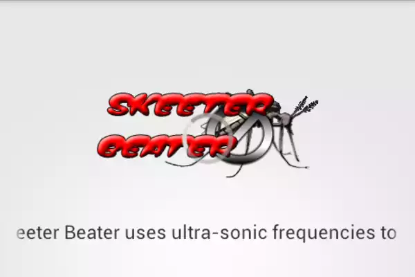 Play Skeeter Beater