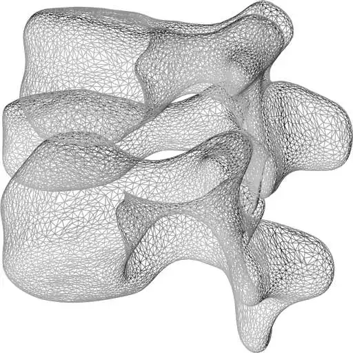 Free play online Skeletal Dysplasia View: Spine APK Free play online Skeletal Dysplasia View: Spine APK