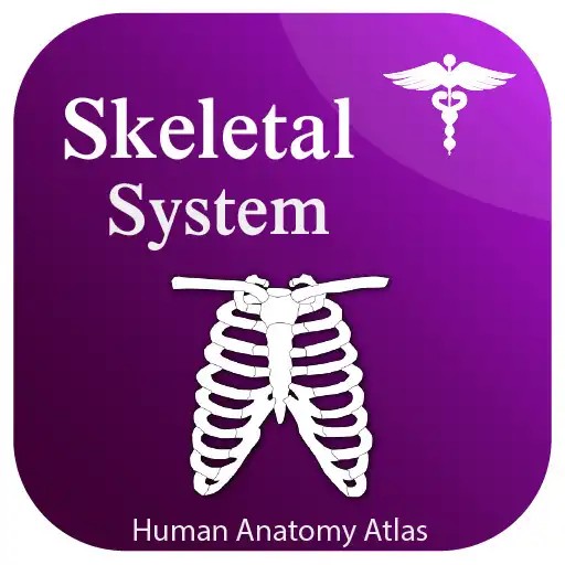 Play Skeletal System - Skeleton Anatomy 2021 APK Play Skeletal System - Skeleton Anatomy 2021 APK