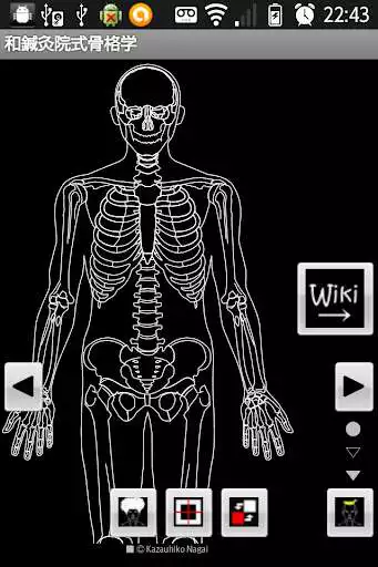 Play APK Skeletology (Nagomi) 2D and enjoy Skeletology (Nagomi) 2D with UptoPlay jp.gr.java_conf_nagomi_Kokaku Play APK Skeletology (Nagomi) 2D and enjoy Skeletology (Nagomi) 2D with UptoPlay jp.gr.java_conf_nagomi_Kokaku