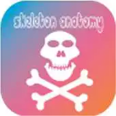 Free play online Skeleton Anatomy APK Free play online Skeleton Anatomy APK