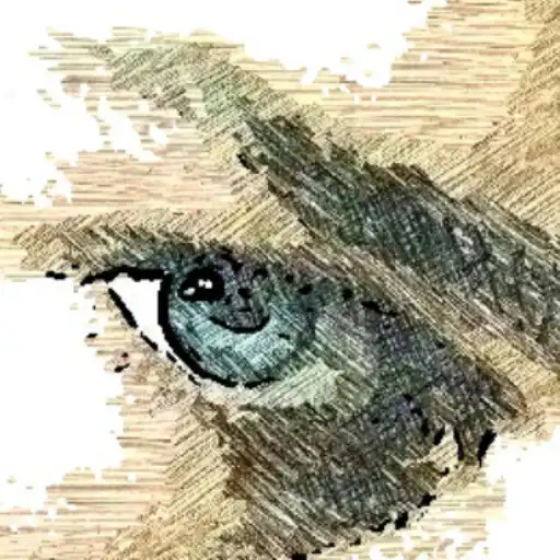 Play Sketch Camera Pro APK