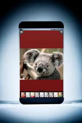 Play Sketch Photo Pencil