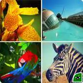 Free play online Skid15 APK