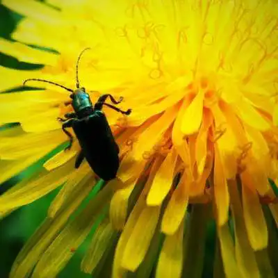 Play Skid15 Play Skid15